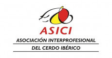 Asici 1 43526